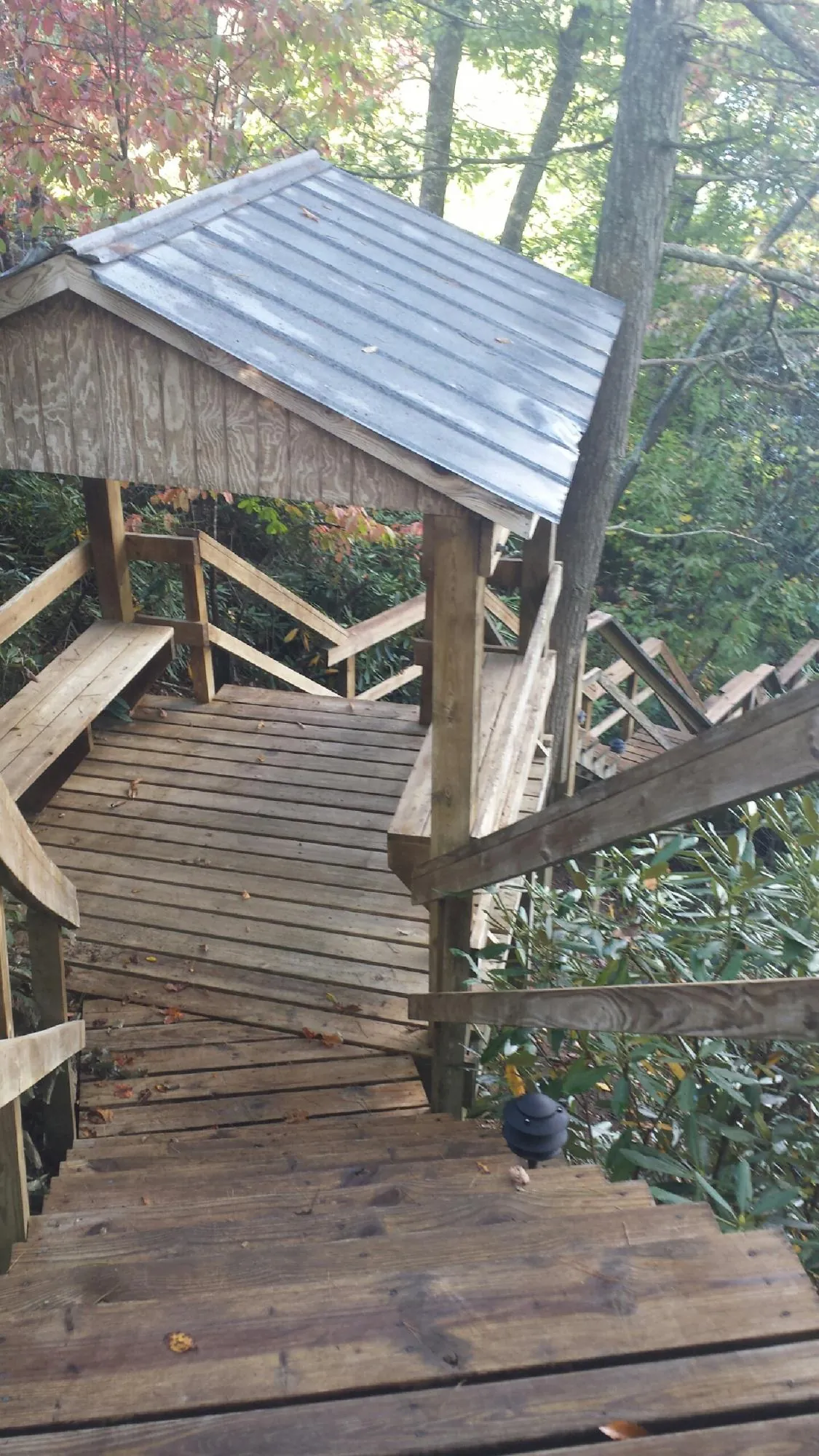 Metal roofed shelter over wooden steps on a wooded walkway — Skylight Repair & Installation work by our crew in Ridge Spring